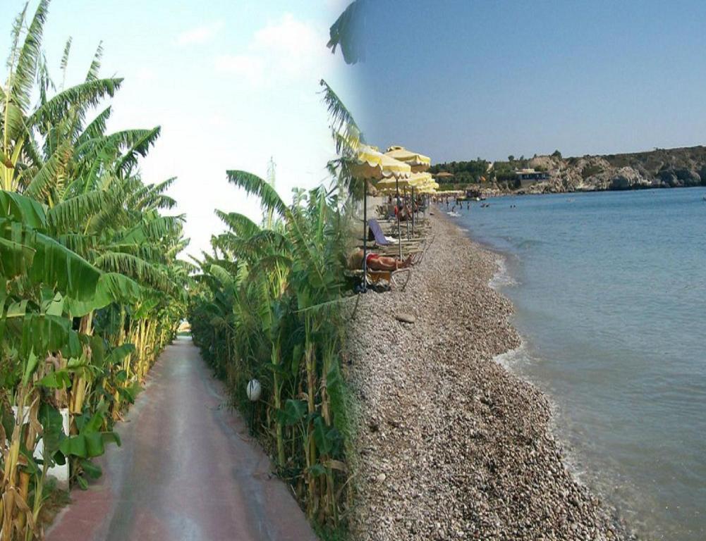 Alfa Hotel كولومبيا الغرفة الصورة